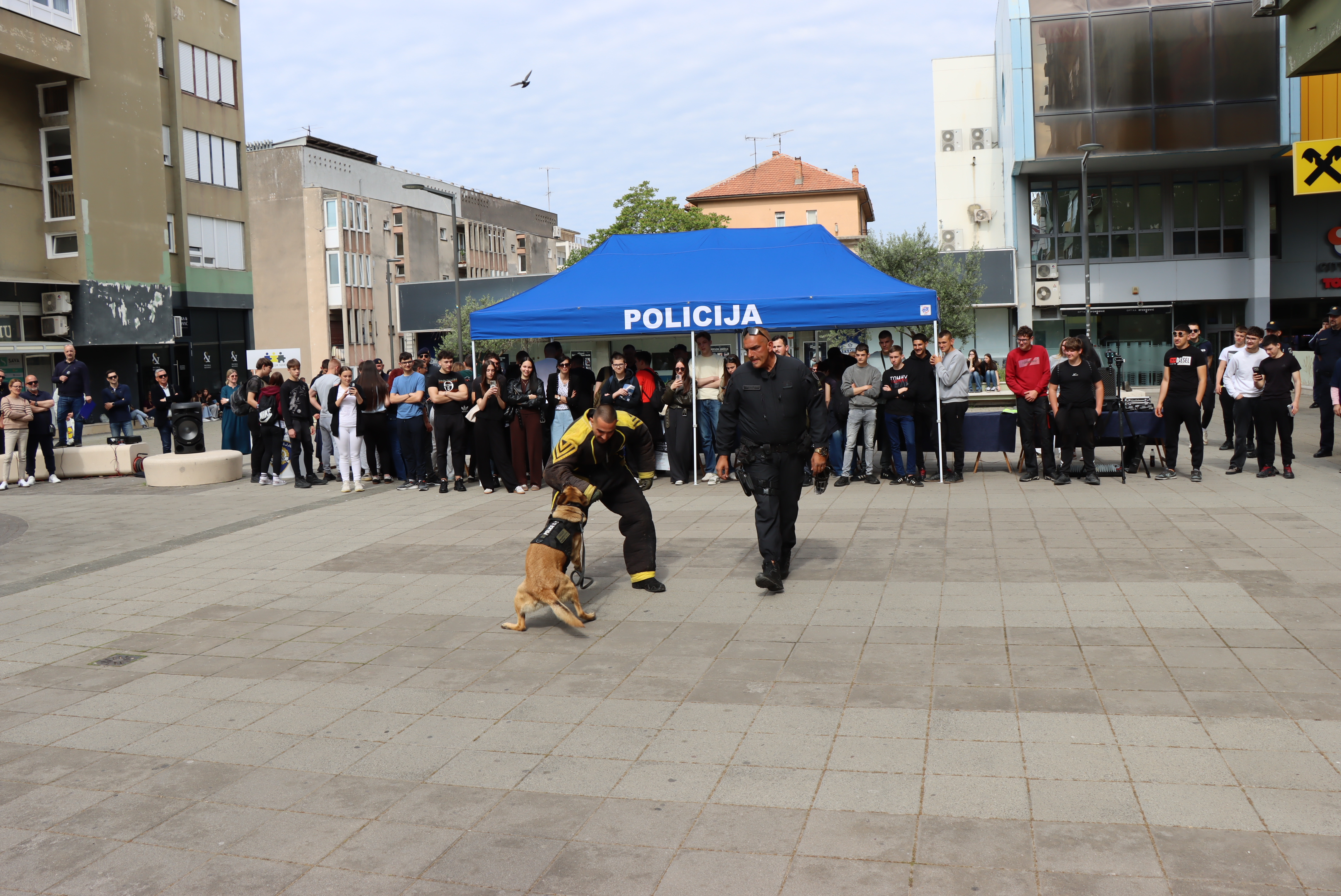 Slika /PU_SK/Galerije/posatni policajac 3 .JPG